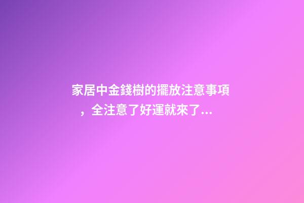 家居中金錢樹的擺放注意事項，全注意了好運就來了！